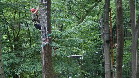 Klettern im Seilgarten Hannover