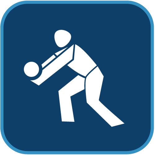 Fachverband Volleyball